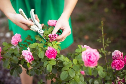 Operative preparing tools and PPE before gardening work